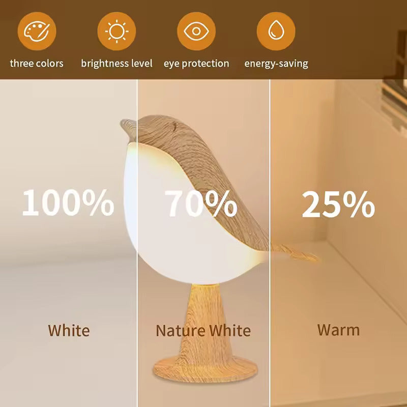 SHANTI LED Aromatherapy Diffuser Lamp | Cordless Touch Sensor Night Light