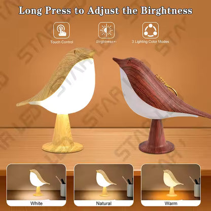 SHANTI LED Aromatherapy Diffuser Lamp | Cordless Touch Sensor Night Light