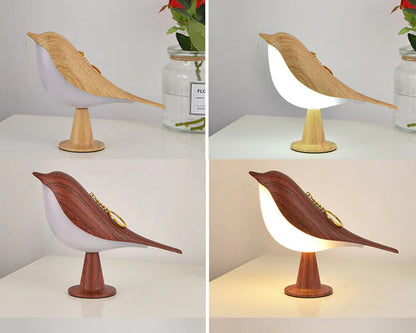 SHANTI LED Aromatherapy Diffuser Lamp | Cordless Touch Sensor Night Light