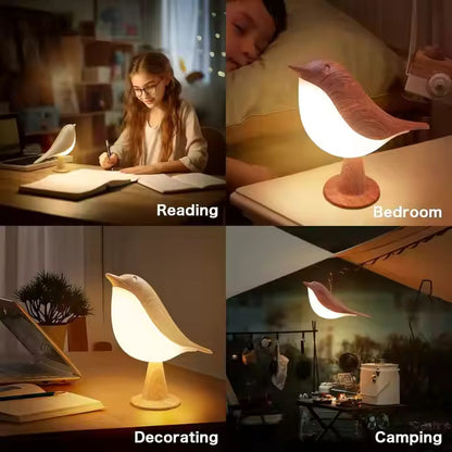 SHANTI LED Aromatherapy Diffuser Lamp | Cordless Touch Sensor Night Light